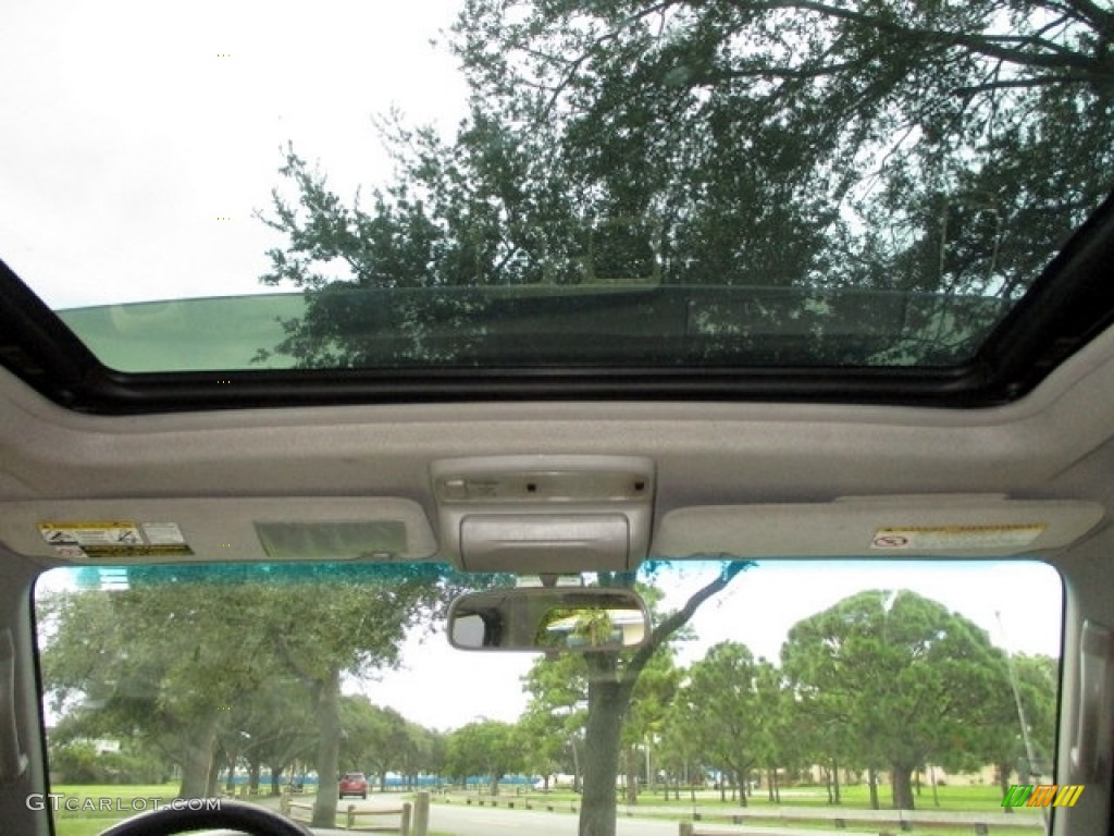 2002 4Runner Limited - Thunder Cloud Metallic / Oak photo #21