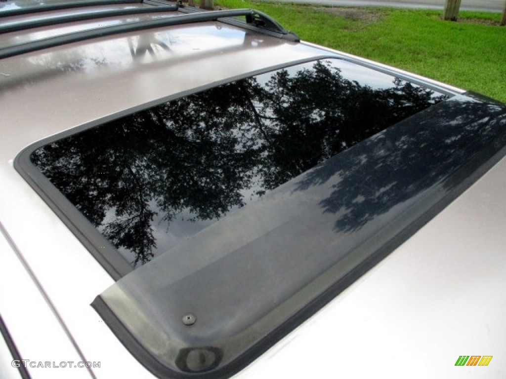 2002 4Runner Limited - Thunder Cloud Metallic / Oak photo #24