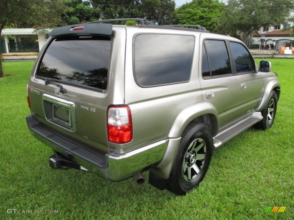 2002 4Runner Limited - Thunder Cloud Metallic / Oak photo #50