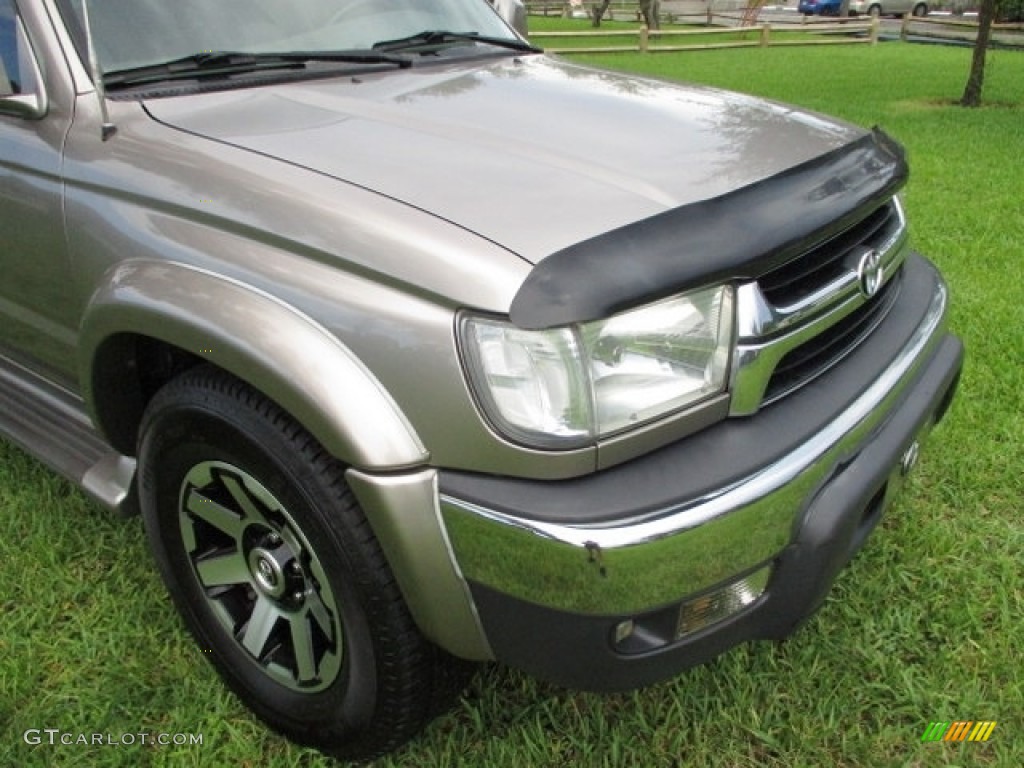 2002 4Runner Limited - Thunder Cloud Metallic / Oak photo #54