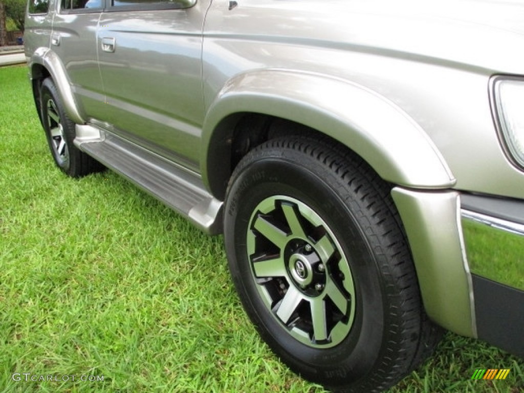 2002 4Runner Limited - Thunder Cloud Metallic / Oak photo #58