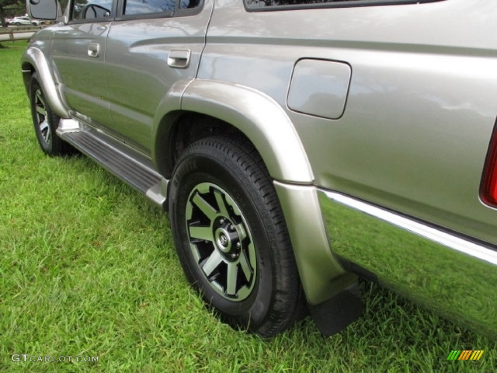 2002 4Runner Limited - Thunder Cloud Metallic / Oak photo #66