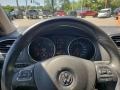 Platinum Gray Metallic - Jetta TDI SportWagen Photo No. 10