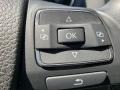 Platinum Gray Metallic - Jetta TDI SportWagen Photo No. 12