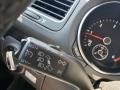 Platinum Gray Metallic - Jetta TDI SportWagen Photo No. 13