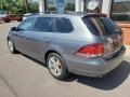 Platinum Gray Metallic - Jetta TDI SportWagen Photo No. 35