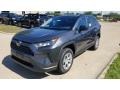 Magnetic Gray Metallic - RAV4 LE AWD Photo No. 1