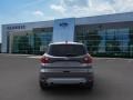 2019 Magnetic Ford Escape SEL  photo #5
