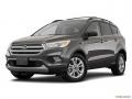 2019 Magnetic Ford Escape SEL  photo #55