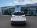2019 White Platinum Metallic Ford EcoSport SE 4WD  photo #5