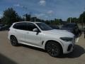 Alpine White - X5 xDrive40i Photo No. 1