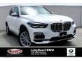 Alpine White - X5 xDrive40i Photo No. 1