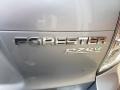 Ice Silver Metallic - Forester 2.5 X Premium Photo No. 33