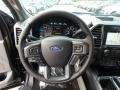 Earth Gray Steering Wheel Photo for 2019 Ford F150 #134995595