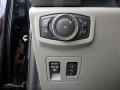 Earth Gray Controls Photo for 2019 Ford F150 #134995640