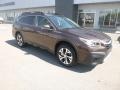 Cinnamon Brown Pearl 2020 Subaru Outback 2.5i Limited Exterior