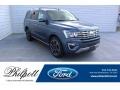 2019 Blue Metallic Ford Expedition Limited  photo #1