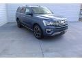 2019 Blue Metallic Ford Expedition Limited  photo #2