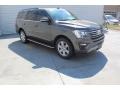 Magnetic Metallic - Expedition XLT Photo No. 2