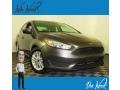 Magnetic - Focus SE Sedan Photo No. 1