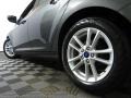 Magnetic - Focus SE Sedan Photo No. 10