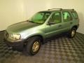 2006 Titanium Green Metallic Ford Escape XLS 4WD  photo #7