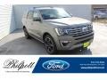 Silver Spruce Metallic 2019 Ford Expedition Limited