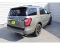 2019 Silver Spruce Metallic Ford Expedition Limited  photo #8