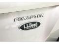 Crystal Gray Metallic - Forester 2.5 X L.L.Bean Edition Photo No. 7