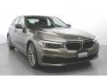 2019 Atlas Cedar Metallic BMW 5 Series 540i xDrive Sedan  photo #5