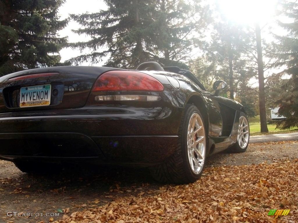 2006 Viper SRT-10 - Viper Black / Black/Black photo #3