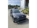 Magnetic Gray Metallic - RAV4 Limited AWD Hybrid Photo No. 2