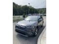 Magnetic Gray Metallic - RAV4 Limited AWD Hybrid Photo No. 4