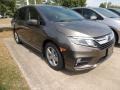 2019 Pacific Pewter Metallic Honda Odyssey EX-L  photo #3