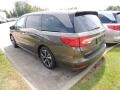 2019 Pacific Pewter Metallic Honda Odyssey EX-L  photo #6