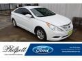 Shimmering White - Sonata GLS Photo No. 1
