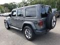 Sting-Gray - Wrangler Unlimited Sahara 4x4 Photo No. 4