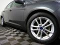 Magnetic - Focus SE Sedan Photo No. 3