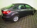 Magnetic - Focus SE Sedan Photo No. 14