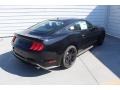 2019 Shadow Black Ford Mustang EcoBoost Fastback  photo #8