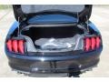 2019 Shadow Black Ford Mustang EcoBoost Fastback  photo #19