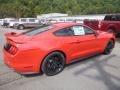 2019 Race Red Ford Mustang EcoBoost Fastback  photo #2