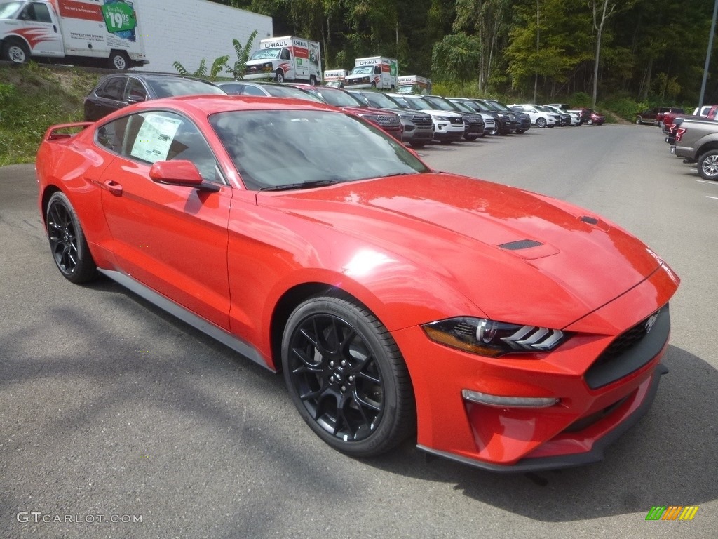 2019 Mustang EcoBoost Fastback - Race Red / Ebony photo #3