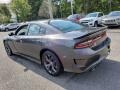 Granite Pearl - Charger GT Photo No. 4