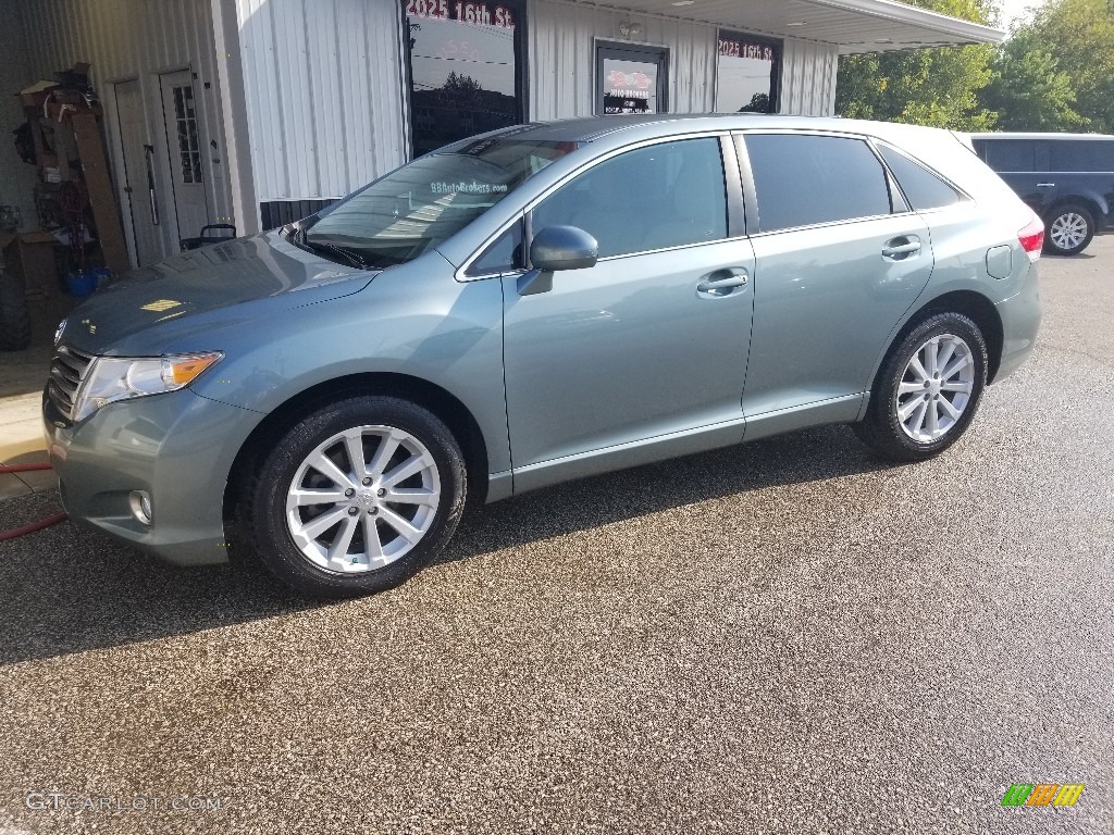 2010 Venza I4 - Aloe Green Metallic / Ivory photo #1