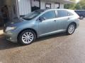 2010 Aloe Green Metallic Toyota Venza I4 #135197671