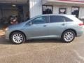 2010 Aloe Green Metallic Toyota Venza I4  photo #2