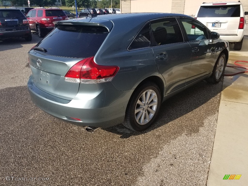 2010 Venza I4 - Aloe Green Metallic / Ivory photo #5