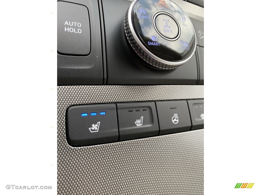 2020 Hyundai Palisade Limited AWD Controls Photo #135221735
