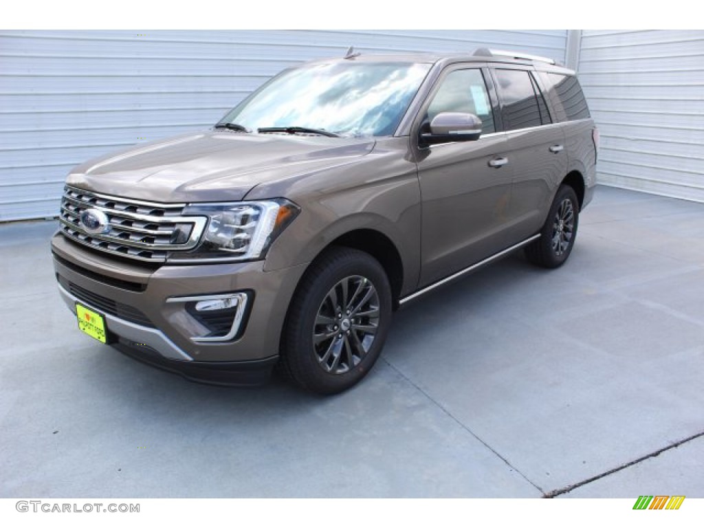 Stone Gray Metallic 2019 Ford Expedition Limited Exterior Photo #135228502